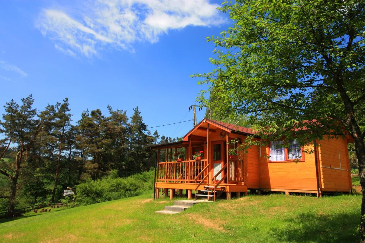 U Synowcow Lodge Polanczyk